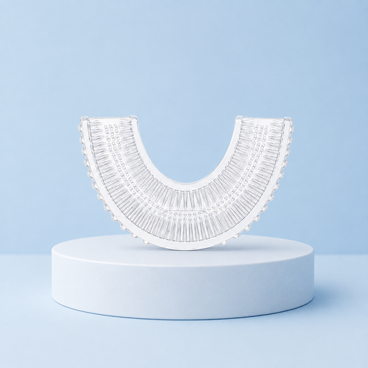 1 brosse de rechange